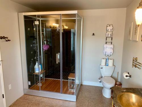 a bathroom with a shower and a toilet at Stunning 3,400 sq ft Lake House w Boat Dock, Sauna, Steam Shower, and More in Clearlake Oaks