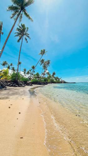 a sandy beach with palm trees and the ocean at Saletoga Sands Resort & Spa in Matatufu