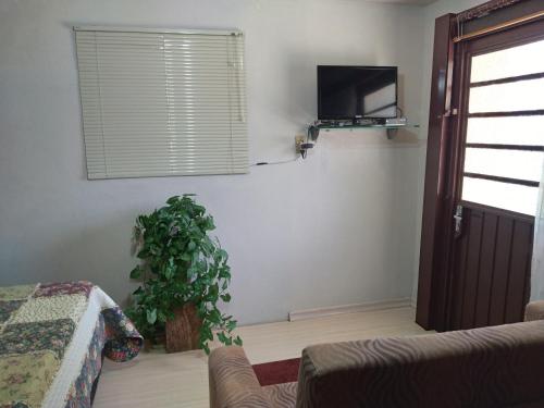 a living room with a couch and a tv and a plant at Sossego do Interior II in Nova Petrópolis