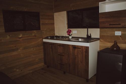 A kitchen or kitchenette at Cabañas Refugio Himalaya