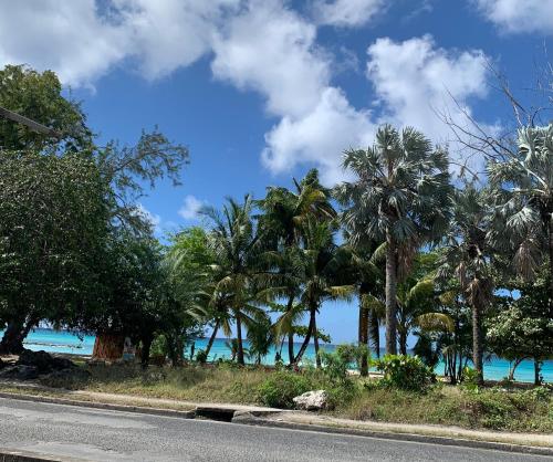 an empty road with palm trees and the ocean at Ocean View Apartments By-BLR in Bridgetown