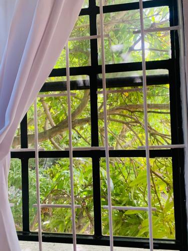 a window with a view of a tree at Ocean View Apartments By-BLR in Bridgetown