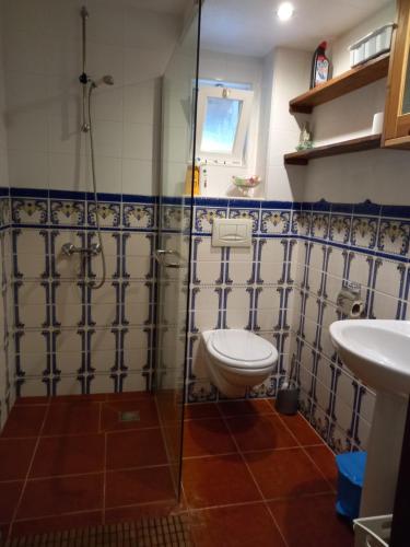 a bathroom with a toilet and a shower and a sink at Vale de Garcia AL 5357 in Colos