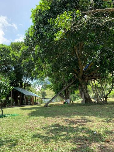 Taman di luar Sítio das Jaqueiras