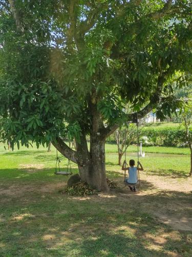 Tetamu yang menginap di Sítio das Jaqueiras