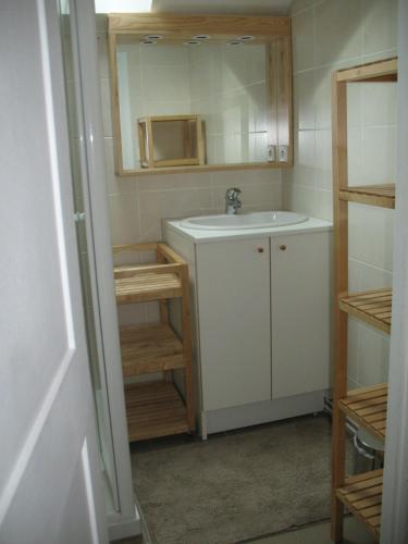 a small bathroom with a sink and a mirror at Gite le Vaudésir in Ligny-le-Châtel