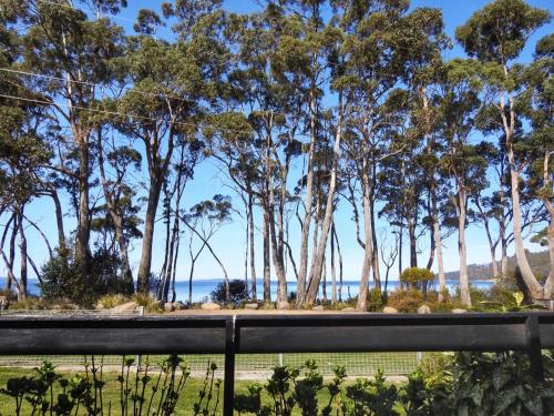 a view of the ocean from a park with trees at Sea Eagle at Roaring Beach in Surveyors Bay