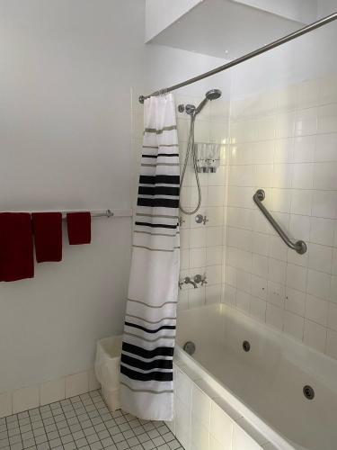 a bathroom with a shower and a bath tub at Mid City Motor Inn in Mackay