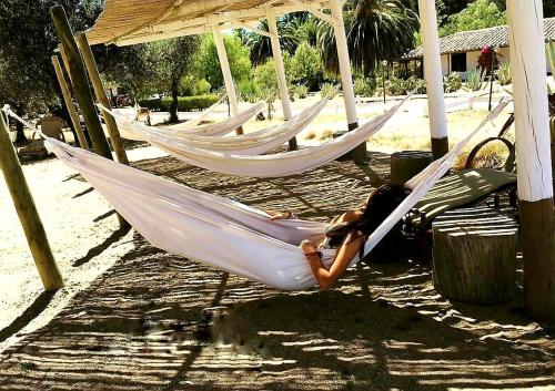 a woman laying in a hammock on a beach at Hacienda Historica Marchigue in Marchihue
