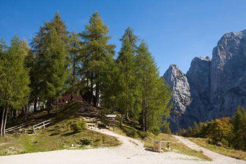 una strada sterrata con alberi e montagne sullo sfondo di Erjavčeva mountain hut at Vršič pass a Kranjska Gora