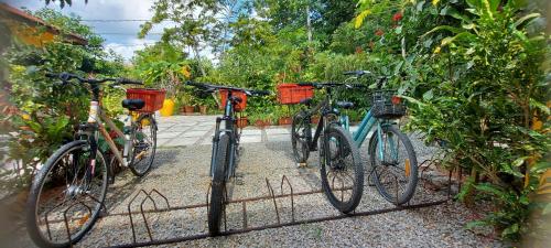 um grupo de bicicletas estacionadas ao lado de algumas plantas em Chez Mera Self Catering em La Digue