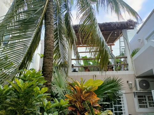 a palm tree in front of a building with plants at Kika Studios in Playa del Carmen
