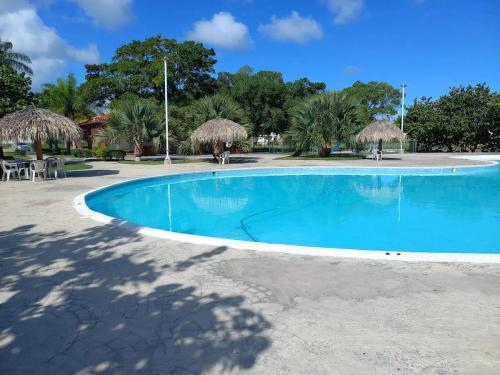una gran piscina azul con sombrillas de paja en Bright Apartment at Punta Cana WIFIAcElectIronParking en Punta Cana