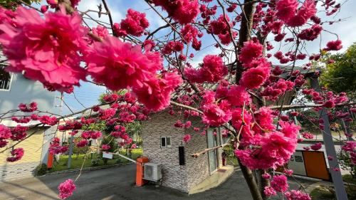 Zahrada ubytování Hua Du Motel
