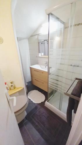 une salle de bain avec toilettes et douche en verre dans l'établissement Logement à Cannes Suquet, emplacement privilégié, à Cannes