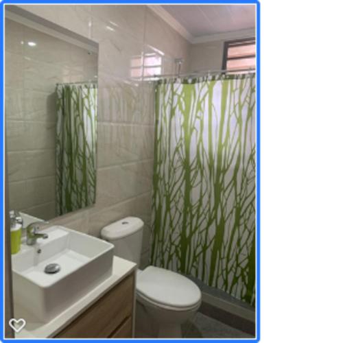 a bathroom with a sink and a toilet and a shower curtain at Villa Belifage Verte in Albion