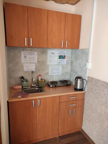 a kitchen with wooden cabinets and a sink at Guest House Mandrivnyi Rooms&Apartments in Yasinya