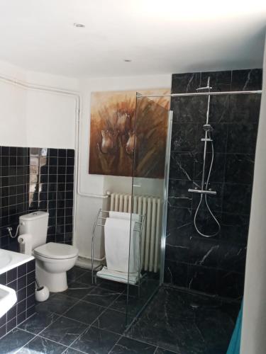 a bathroom with a toilet and a shower and a sink at Les Horizons - SPA-JACUZZI - MASSAGE- SAUNA - 4 SAISONS - Piscine chauffée Toute l'année - 800m centre ville Nyons in Nyons