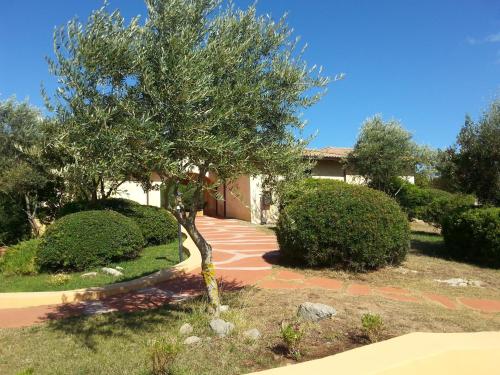 a house with a tree and a walkway at Hotel Giardino Corte Rubja in Iglesias