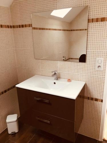 une salle de bain avec un lavabo et un miroir dans l'établissement Chambre du ru d ausson, à Châtel-Censoir