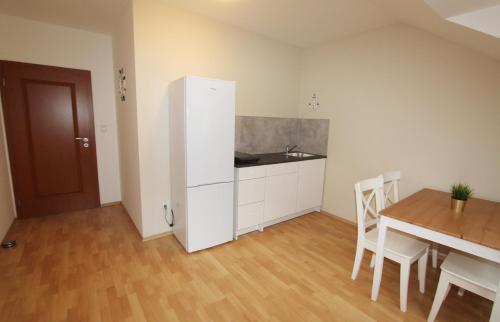 Kuchyň nebo kuchyňský kout v ubytování Apartmán U krále - 3