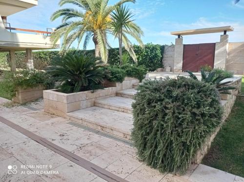 Κήπος έξω από το Xeracsol III Solo Familias Serviplaya!!!