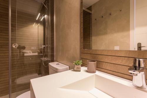 セビリアにあるGreen-Apartments Plaza de la Magdalenaのバスルーム(洗面台、トイレ、鏡付)