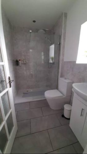 a bathroom with a shower and a toilet and a sink at Taymount Cottage in Caputh