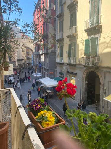 Bed & Breakfast Plebiscito Home