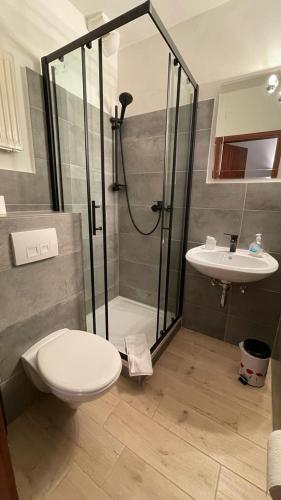 e bagno con doccia, servizi igienici e lavandino. di Gästehaus Ivonne a Lohe-Rickelshof