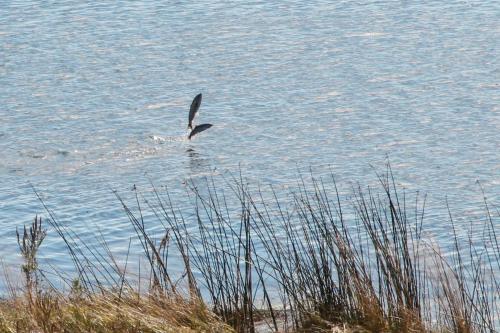 Parker Landing – Photos 2