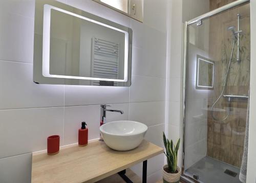 La salle de bains est pourvue d'un lavabo et d'une douche. dans l'établissement Superbe appartement, à Marseille