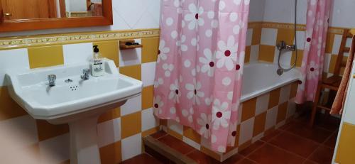 a bathroom with a sink and a shower curtain at Zapatera in Letur