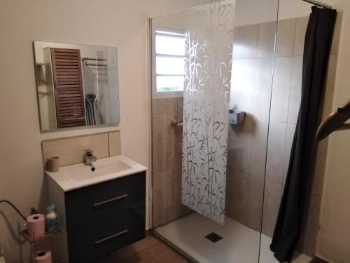 La salle de bains est pourvue d'une douche, d'un lavabo et d'un miroir. dans l'établissement Domaine Decotte bungalow, à Sainte-Suzanne