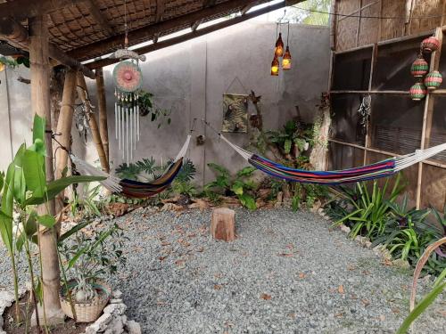 two hammocks hanging in a room with plants at Three Little Birds Resort in Anda