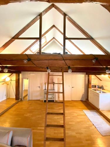 a loft conversion with a ladder in a room at Ferienwohnung Nepomuk in Landshut