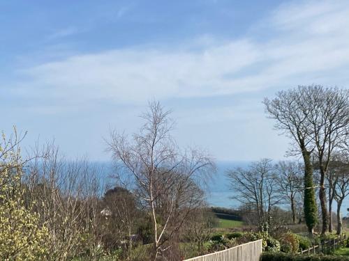 a group of trees in a field with a sky at Seaspray in Dartmouth