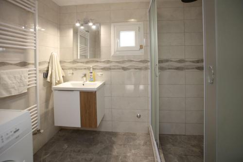 y baño con lavabo y ducha. en Lorentzia House 2 !, en Apróvaton