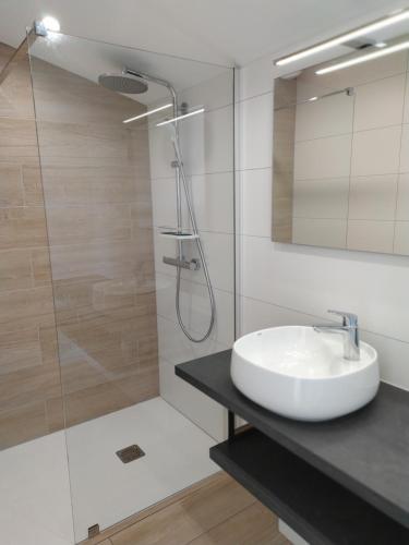 bagno bianco con lavandino e doccia di villa Bouillat d'Anty a Châtel-Guyon