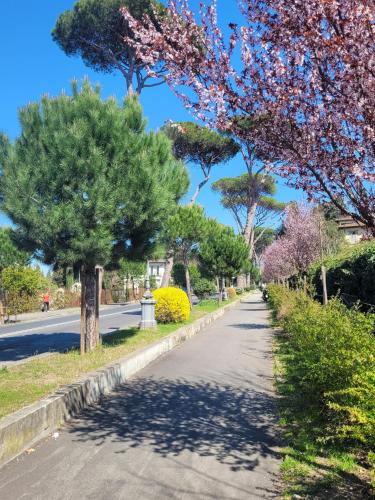 a street with trees on the side of a road at Villa Lia - Apartment in Villa with private garden and Pool in Florence