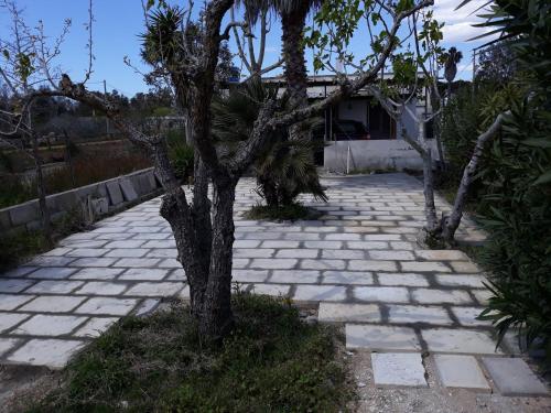 a tree in the middle of a stone walkway at Villino Dodò in Torre San Giovanni Ugento