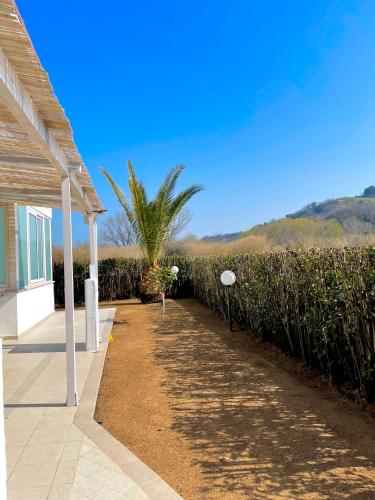a house with a palm tree next to a fence at Oasi del Mare… in Ortona