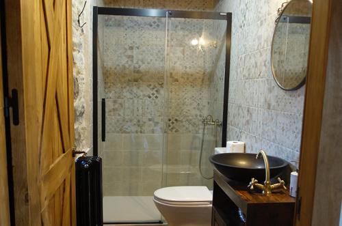 a bathroom with a shower and a toilet and a sink at Casa Notario in Asín de Broto
