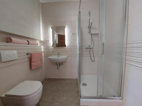 a bathroom with a shower and a toilet and a sink at Apartment Marija in Novi Vinodolski