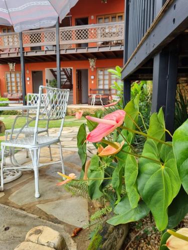 a pink flower and a chair on a patio at Pousada Ikabana in Pirenópolis