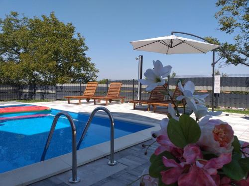 - une piscine avec 2 chaises, un parasol et des fleurs dans l'établissement Holiday Home Gračec, à Gračec