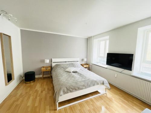 1 dormitorio con 1 cama y TV de pantalla plana en aday - Central Studio Apartment, en Aalborg