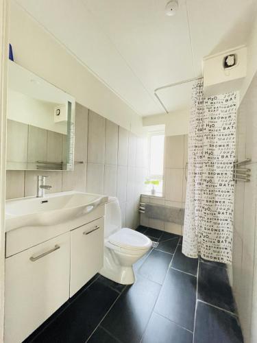 a bathroom with a toilet and a sink and a shower at aday - Central Studio Apartment in Aalborg