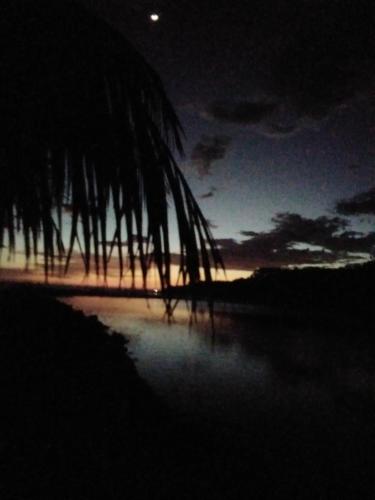 a palm tree sitting on the beach at night at Jardin Secreto in El Viejo