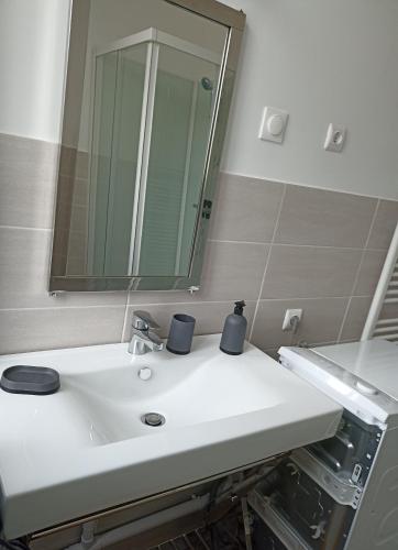 a bathroom with a white sink and a mirror at La Marina 2 in Étaples
